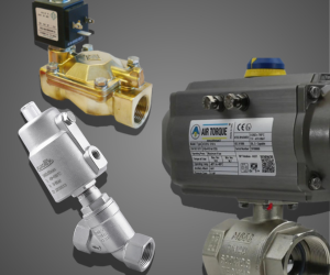 Process Valves