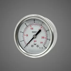 100mm Pressure Gauge Rear Entry
