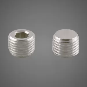 Plug Internal Hex